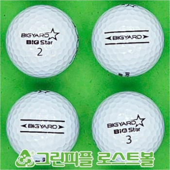빅야드 빅스타 화이트 2피스 A-급 로스트볼 16개